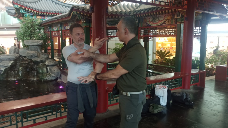 hong kong kung fu academy di Sifu Salvatore Mezzone, arti marziali wing chun, weng chun GM Michael Tang, tai chi quan, sanda e sport da combattimento, shaolin cina (2)